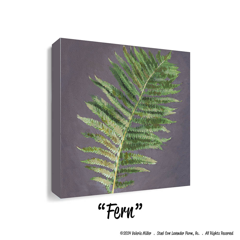 Fern (Canvas and Paper Print)