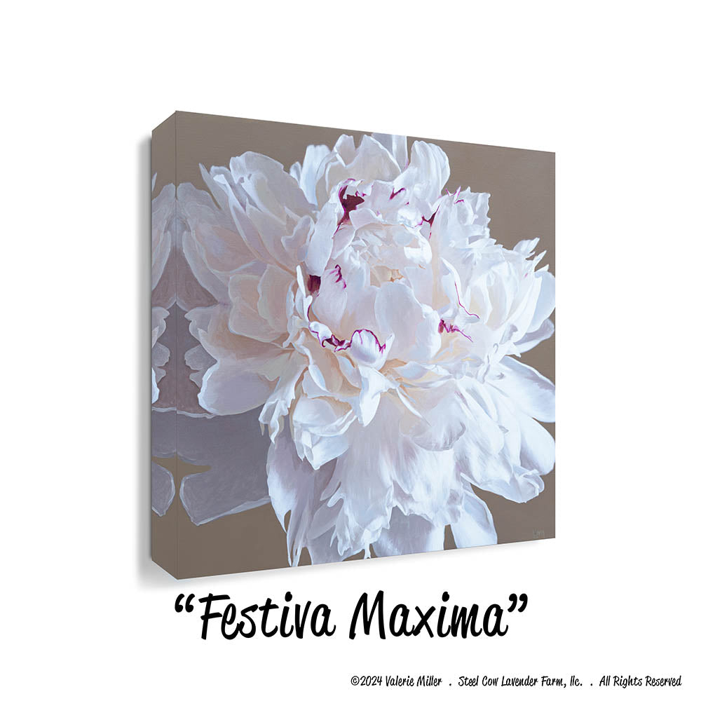 Festiva Maxima Peony Canvas/Paper Print
