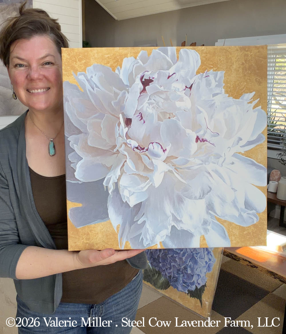 Festiva Maxima with Gold