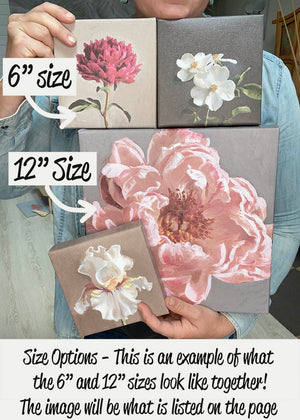 Annabelle Hydrangea (Canvas and Paper Print)