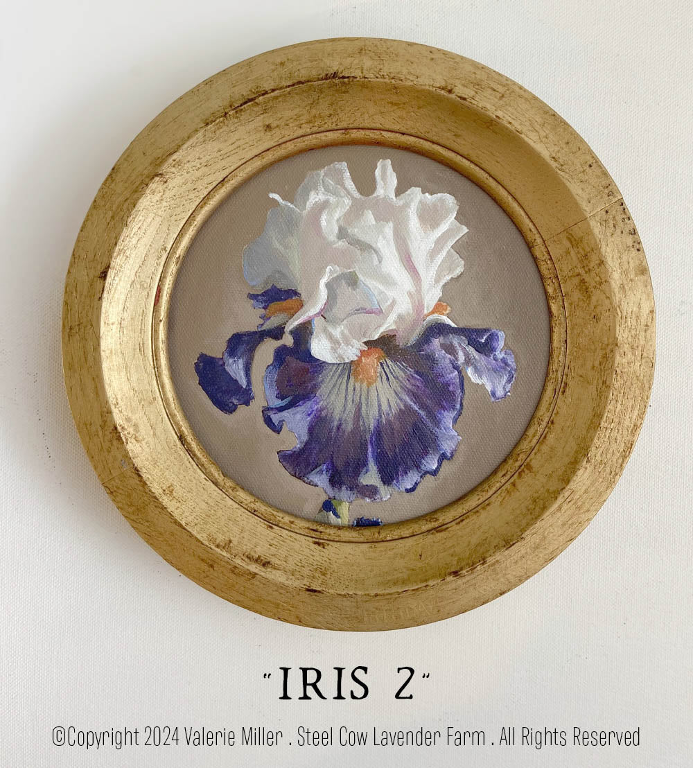 Iris 2 Original Painting