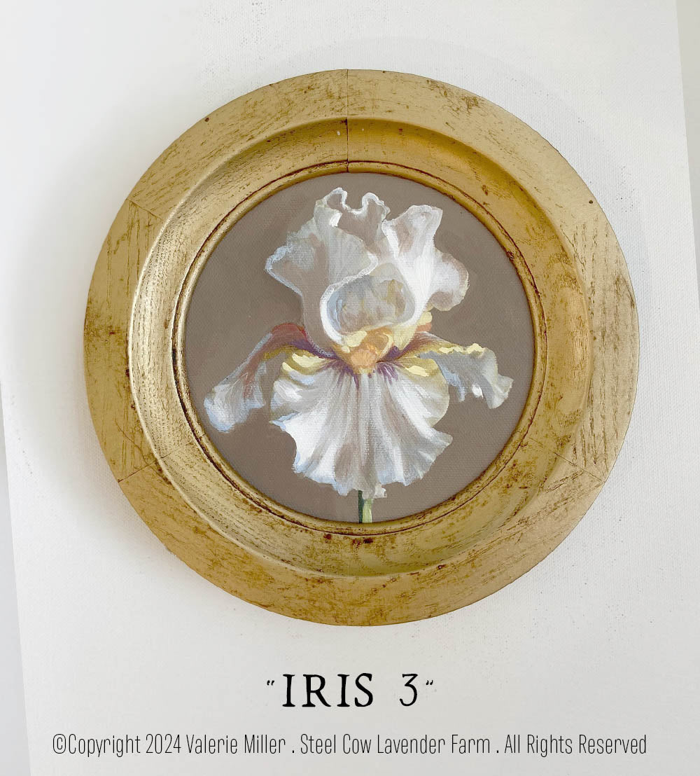 Iris 3 Original Painting