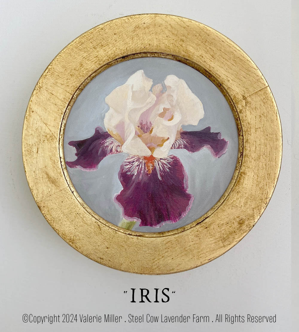 Iris Original Painting