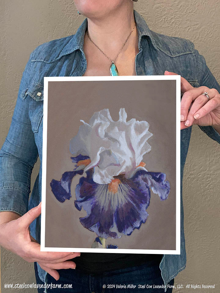 Iris 2 (Canvas and Paper Print)