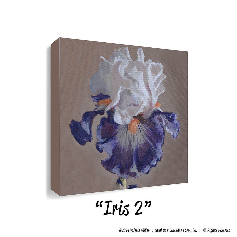 Iris 2 (Canvas and Paper Print)