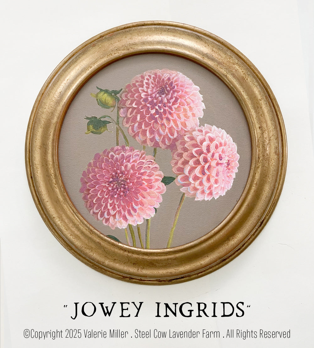 JOWEY INGRIDS
