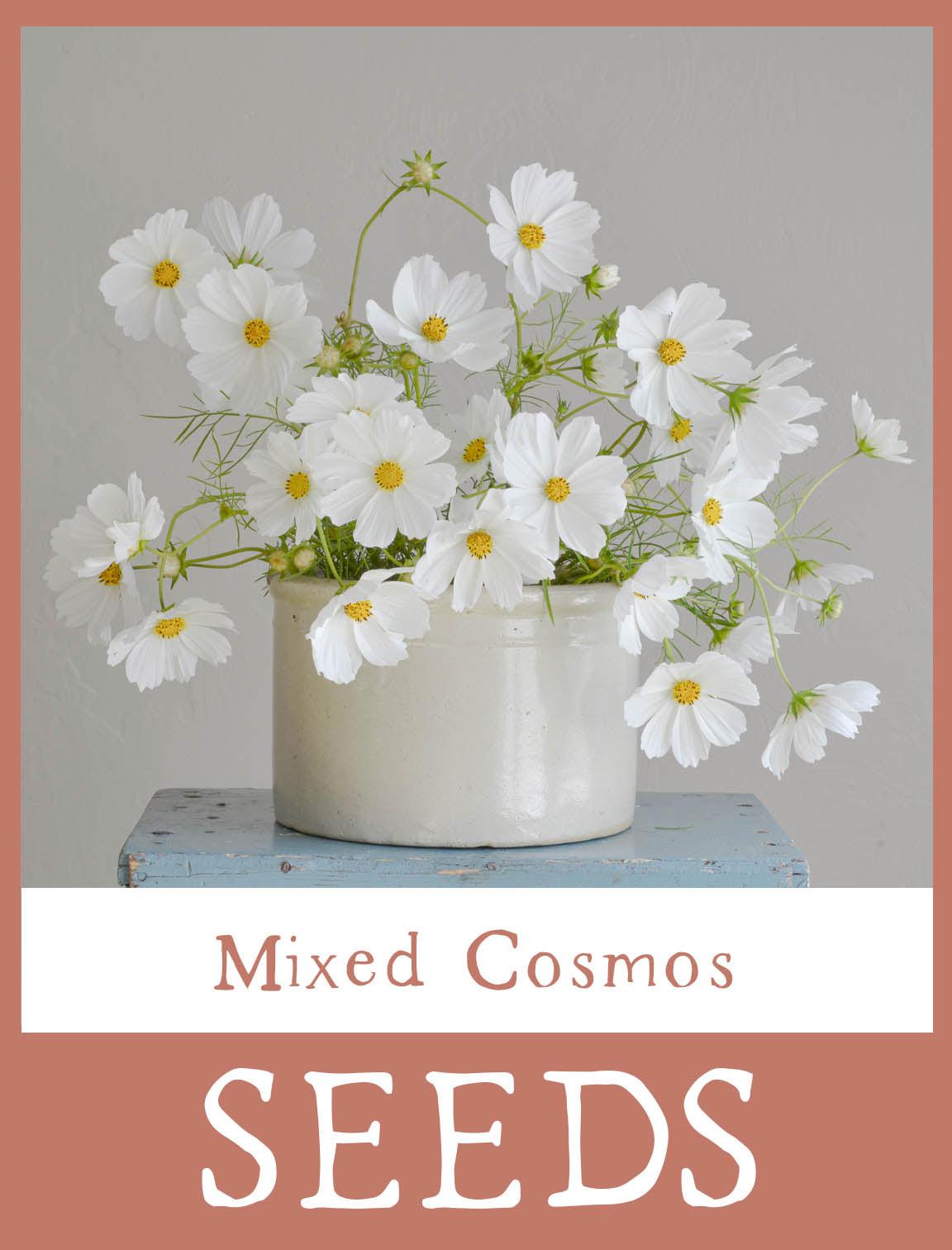 Mixed Cosmos Seeds