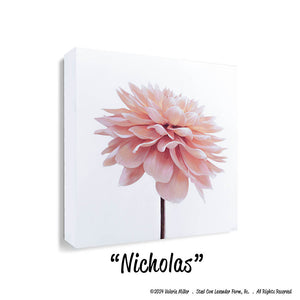 Nicholas Dahlia Art Print