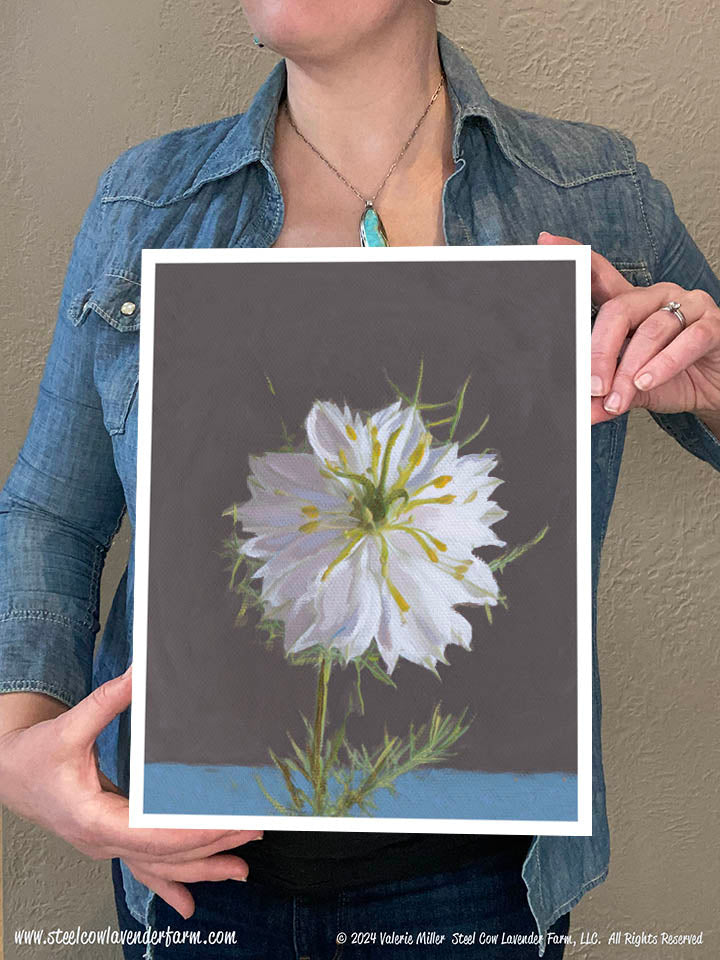 Nigella (Canvas and Paper Print)
