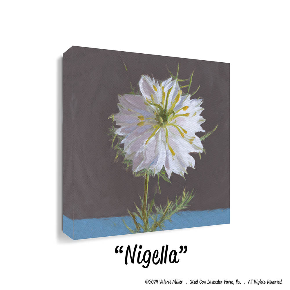 Nigella (Canvas and Paper Print)