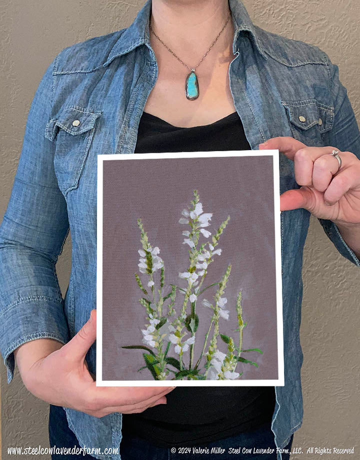 Obedient Plant (Canvas and Paper Print)
