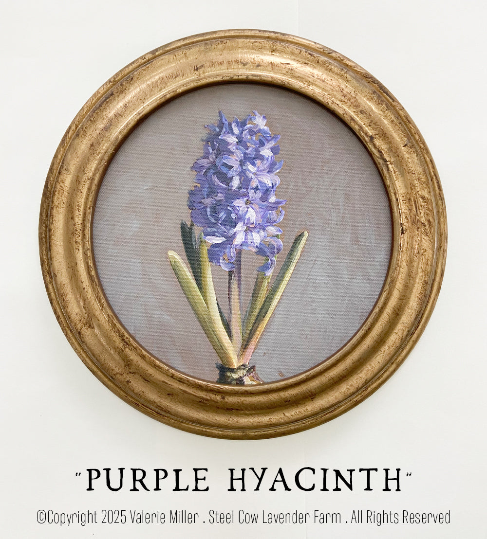 PURPLE HYACINTHS