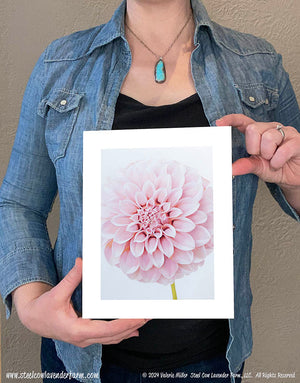 Peaches N' Cream Dahlia Art Print