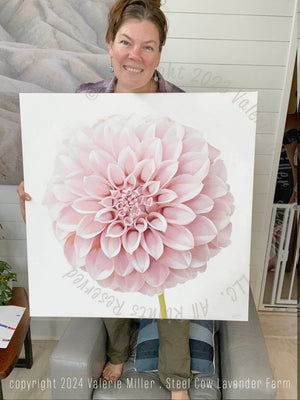 Peaches N' Cream Dahlia Original Painting