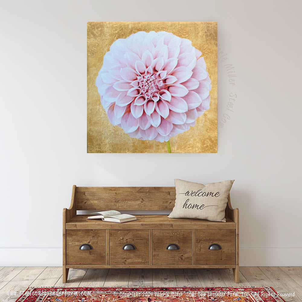 Peaches n Cream Dahlia with Gold