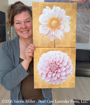 Peaches n Cream Dahlia with Gold