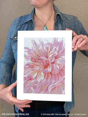 Penhill Watermelon Dahlia Art Print