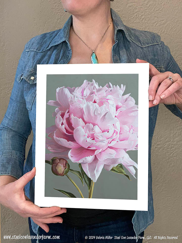 Pink Peony Canvas/Paper Print