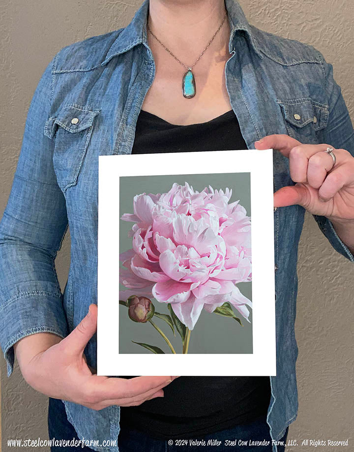 Pink Peony Canvas/Paper Print