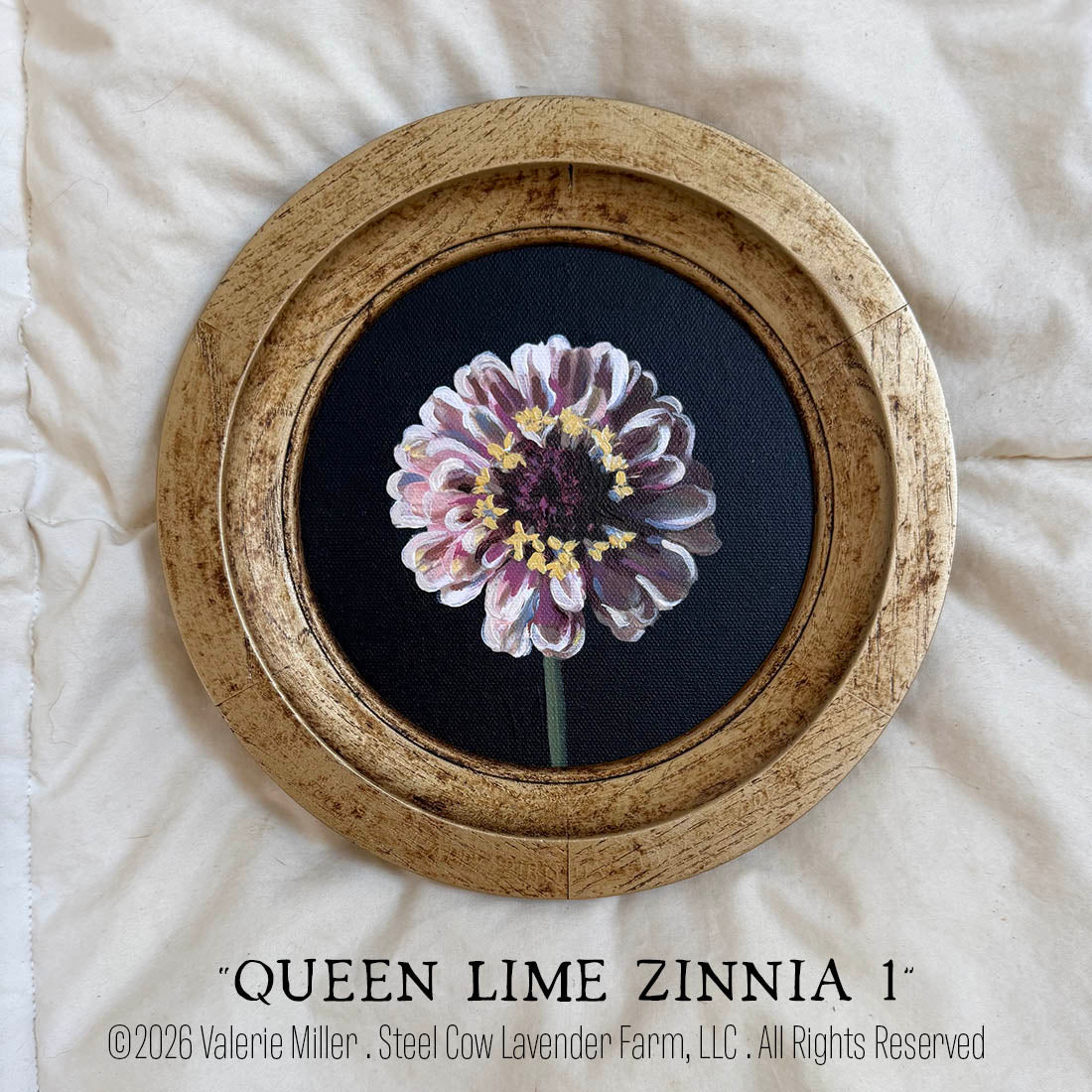 QUEEN LIME RED ZINNIA 1