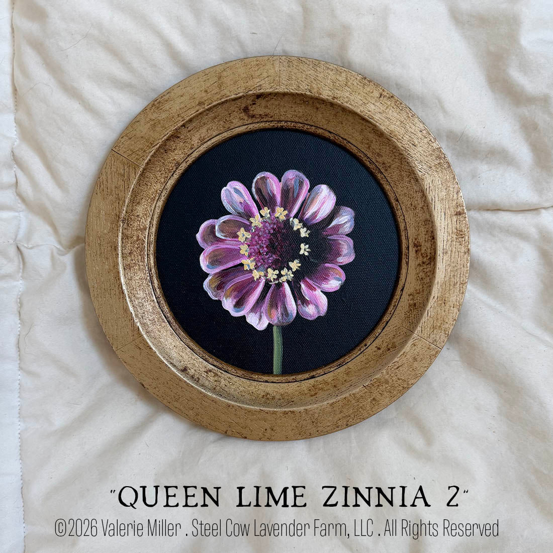 QUEEN LIME RED ZINNIA 2