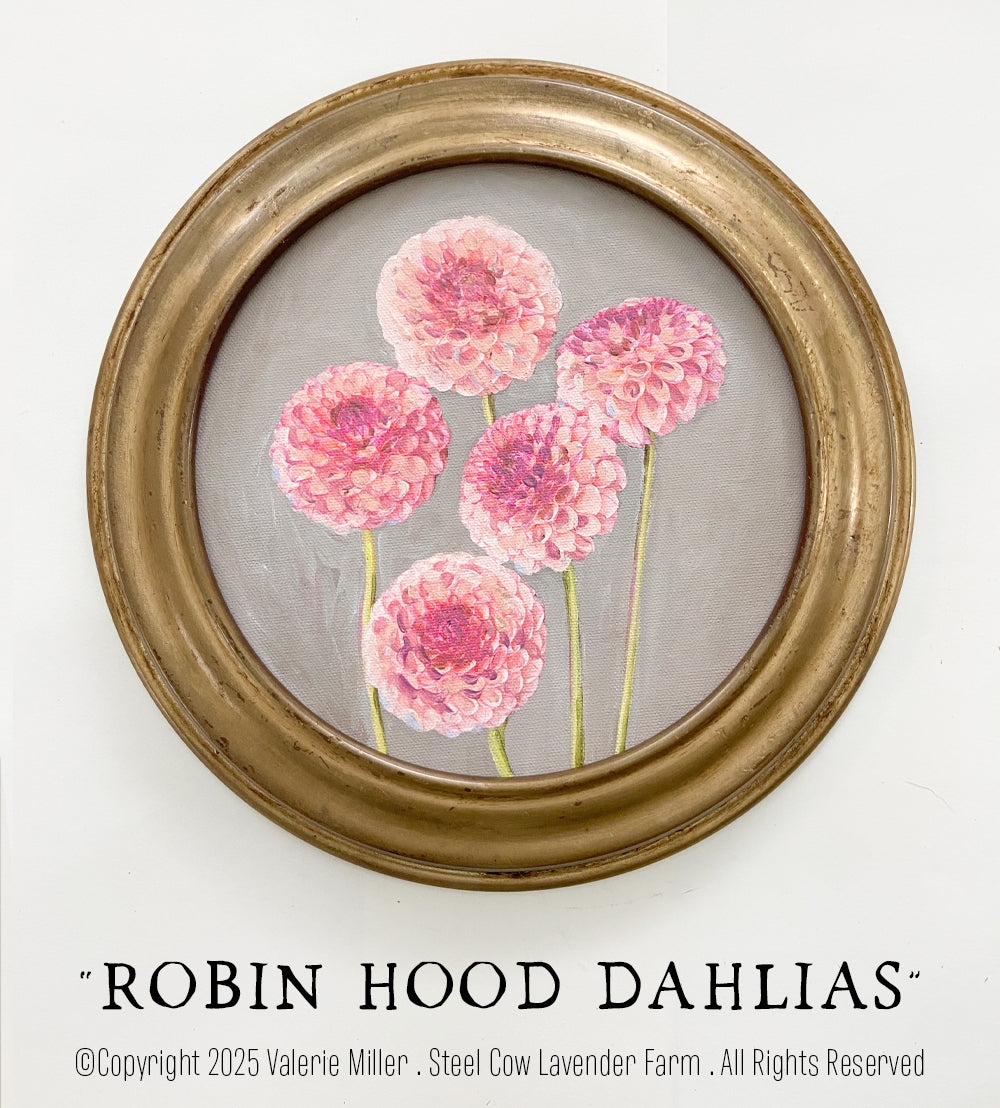 ROBIN HOOD DAHLIAS