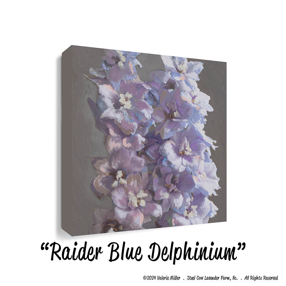 Raider Blue Delphinium (Canvas and Paper Print)