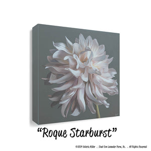 Roque Starburst Dahlia Art Print