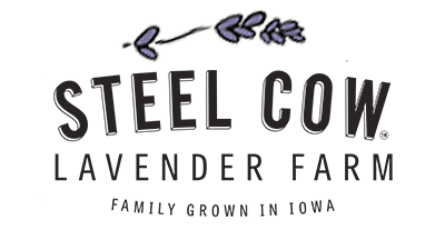 Steel Cow Lavender Farm