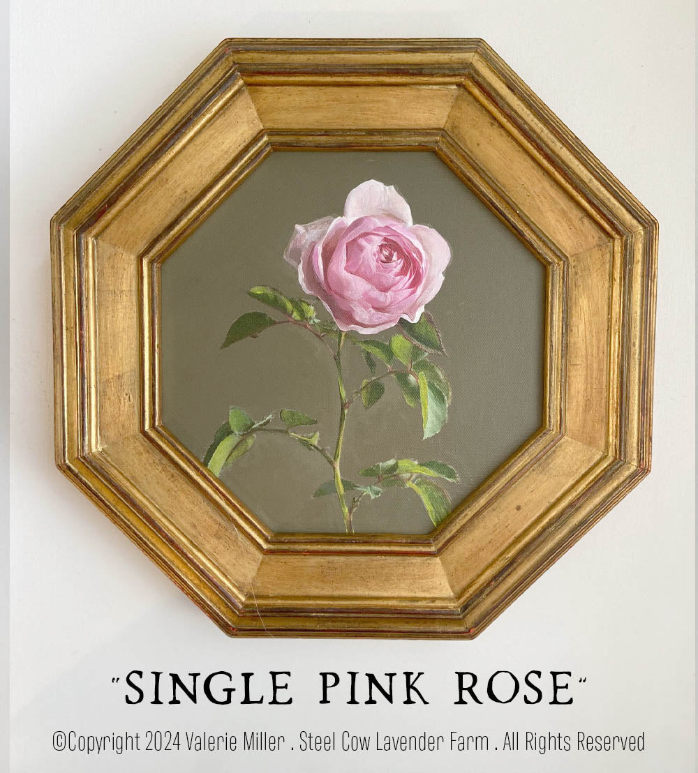 Single Pink Rose Original Painting