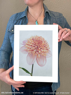 Sandia Brocade Dahlia Art Print