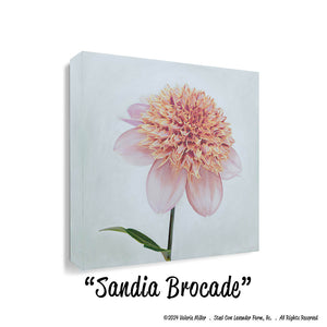 Sandia Brocade Dahlia Art Print