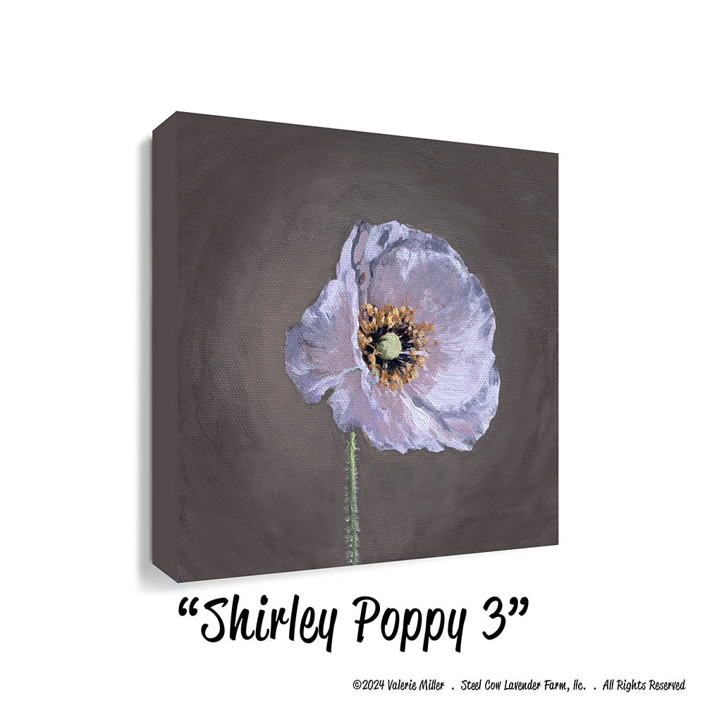 Shirley Poppy 3 (Canvas and Paper Print)