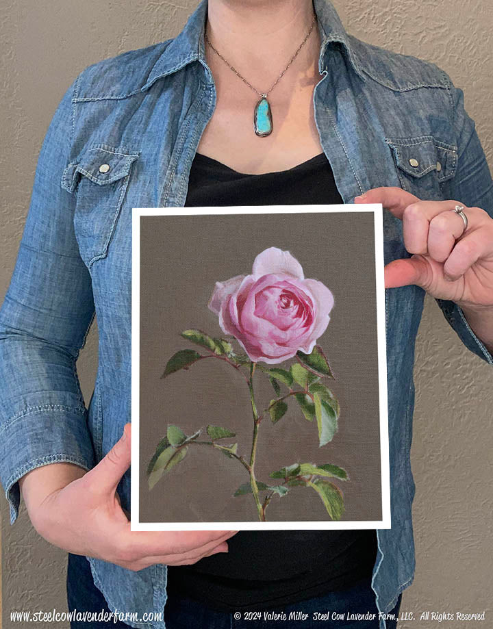 Single Pink Rose (Canvas and Paper Print)