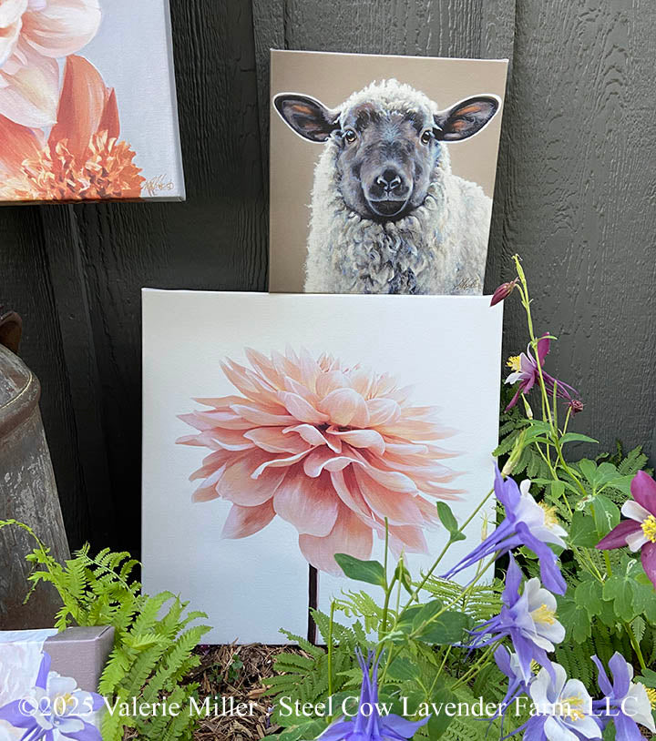 Studio Sale Canvas Prints