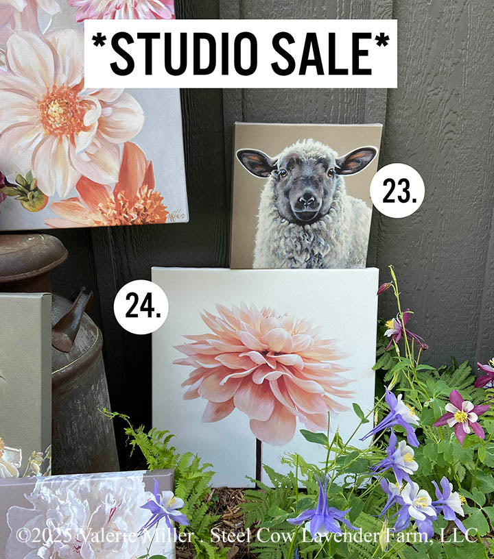 Studio Sale Canvas Prints