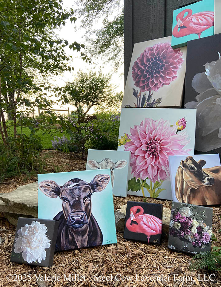 Studio Sale Canvas Prints