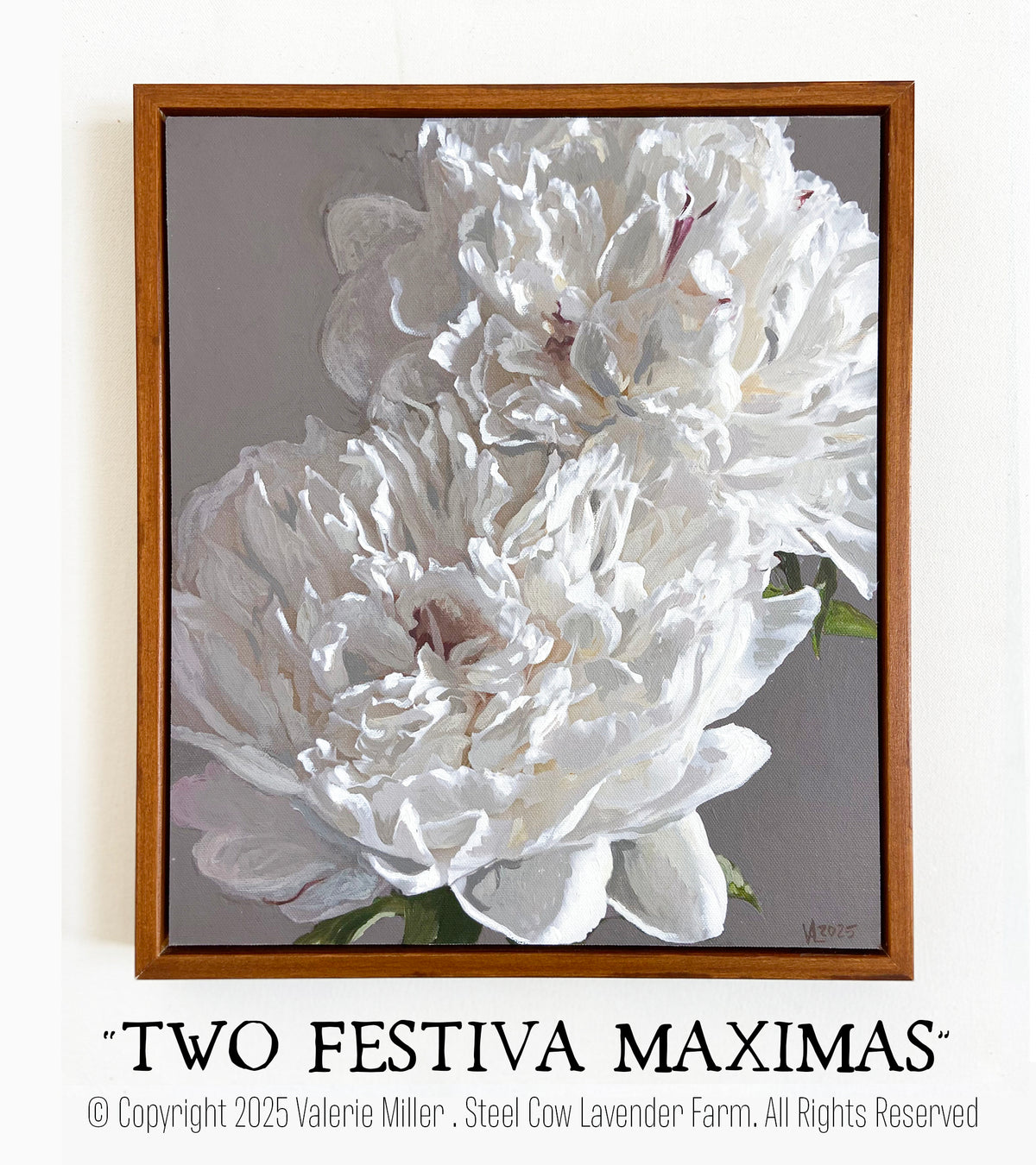 &quot;Two Festiva Maxima Peonies&quot; - Original Painting