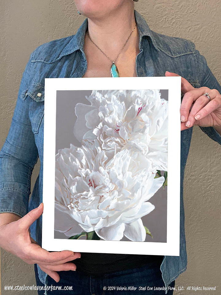 Two Festiva Maximas Art Print