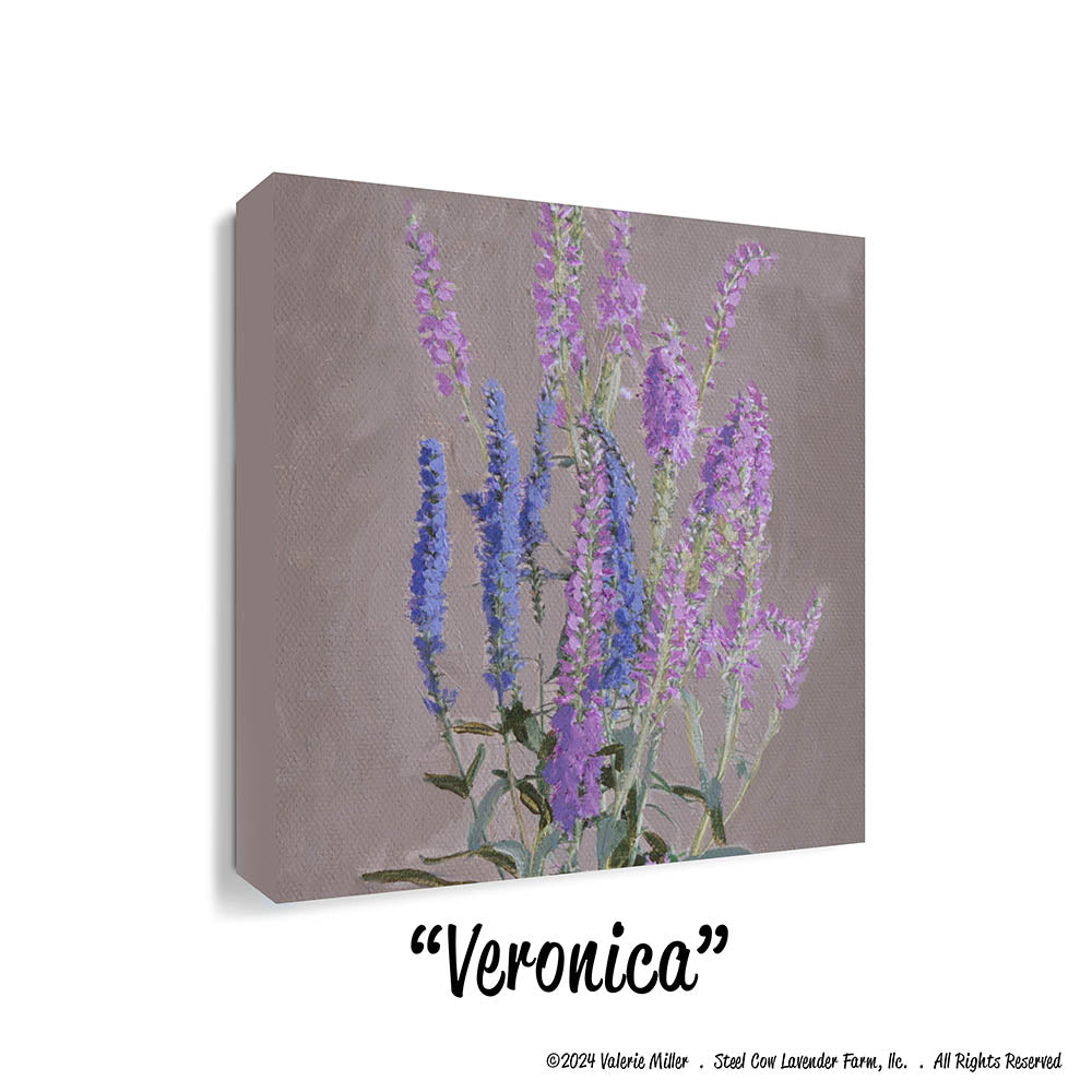 Veronica (Canvas and Paper Print)