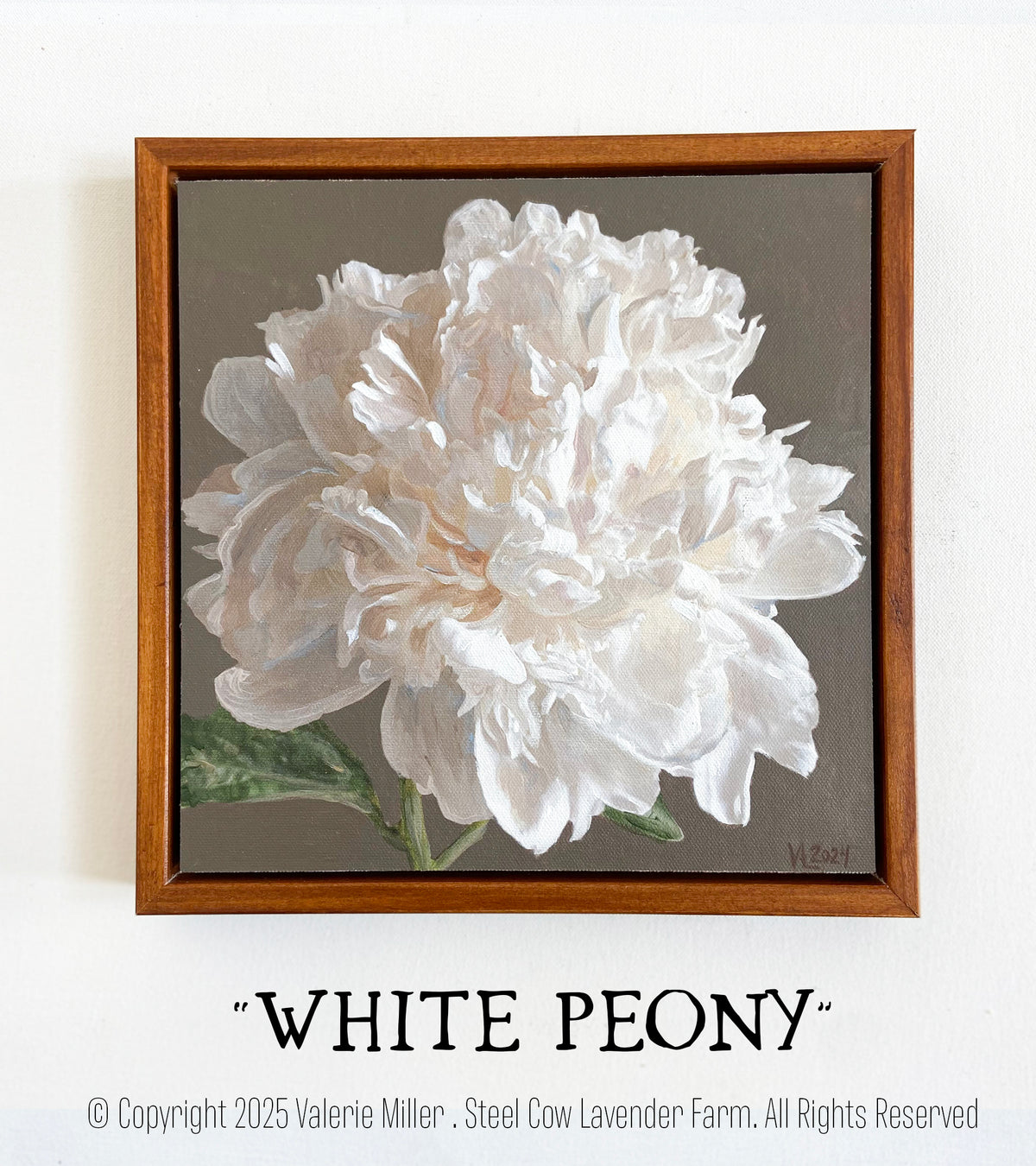 "White Peony" - Original Painting