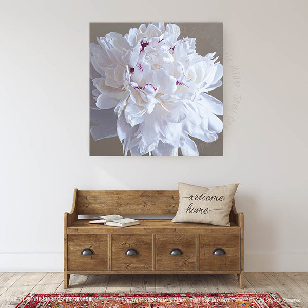 Festiva Maxima Peony Canvas Print - Steel Cow Lavender Farm