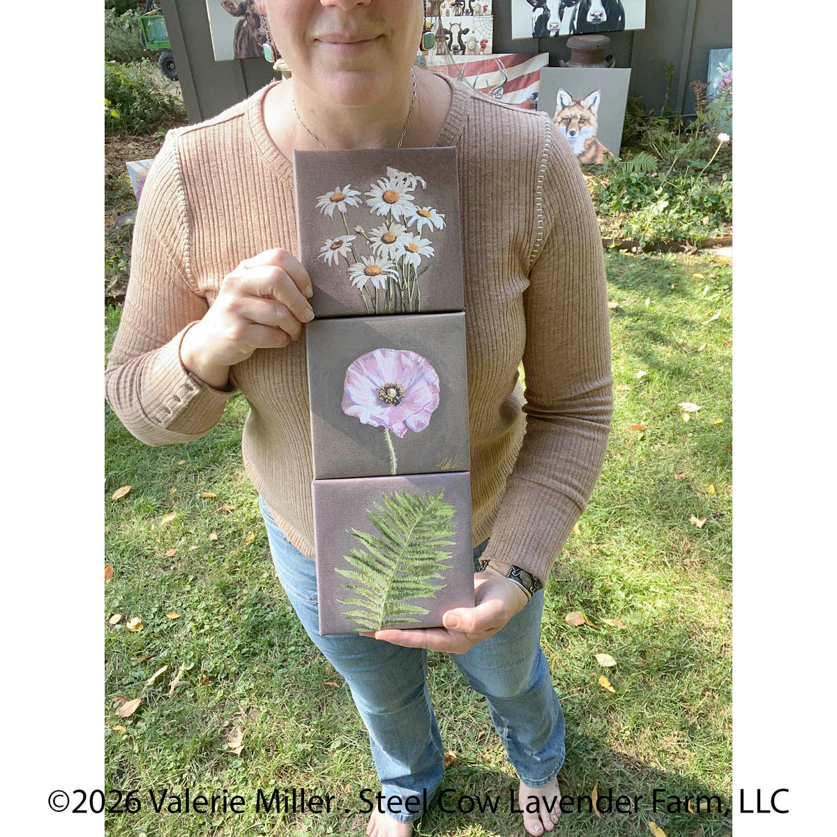 Clearance Three 6"x6" (Daisies, Shirley Poppy and Fern)