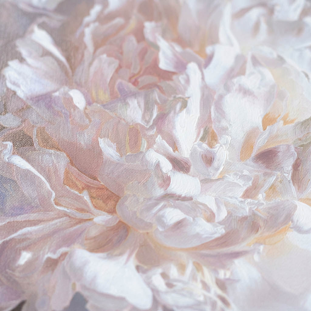 White Peony Canvas Print
