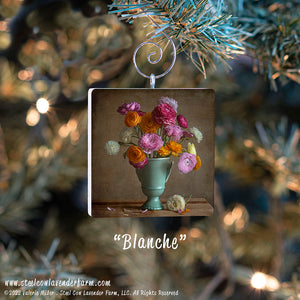 Holiday Ornaments (15 Images Available)