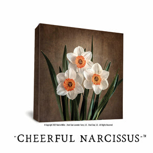 Cheerful Daffodils