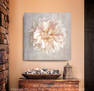 Café Au Lait Dahlia