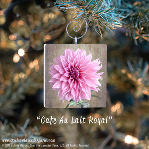 Holiday Ornaments (15 Images Available)