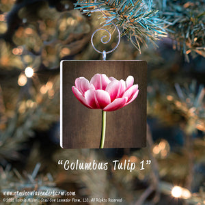 Holiday Ornaments (15 Images Available)