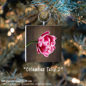 Holiday Ornaments (15 Images Available)